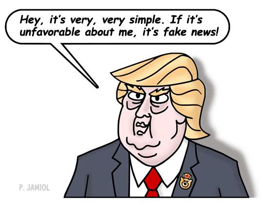 0228fakenews_17